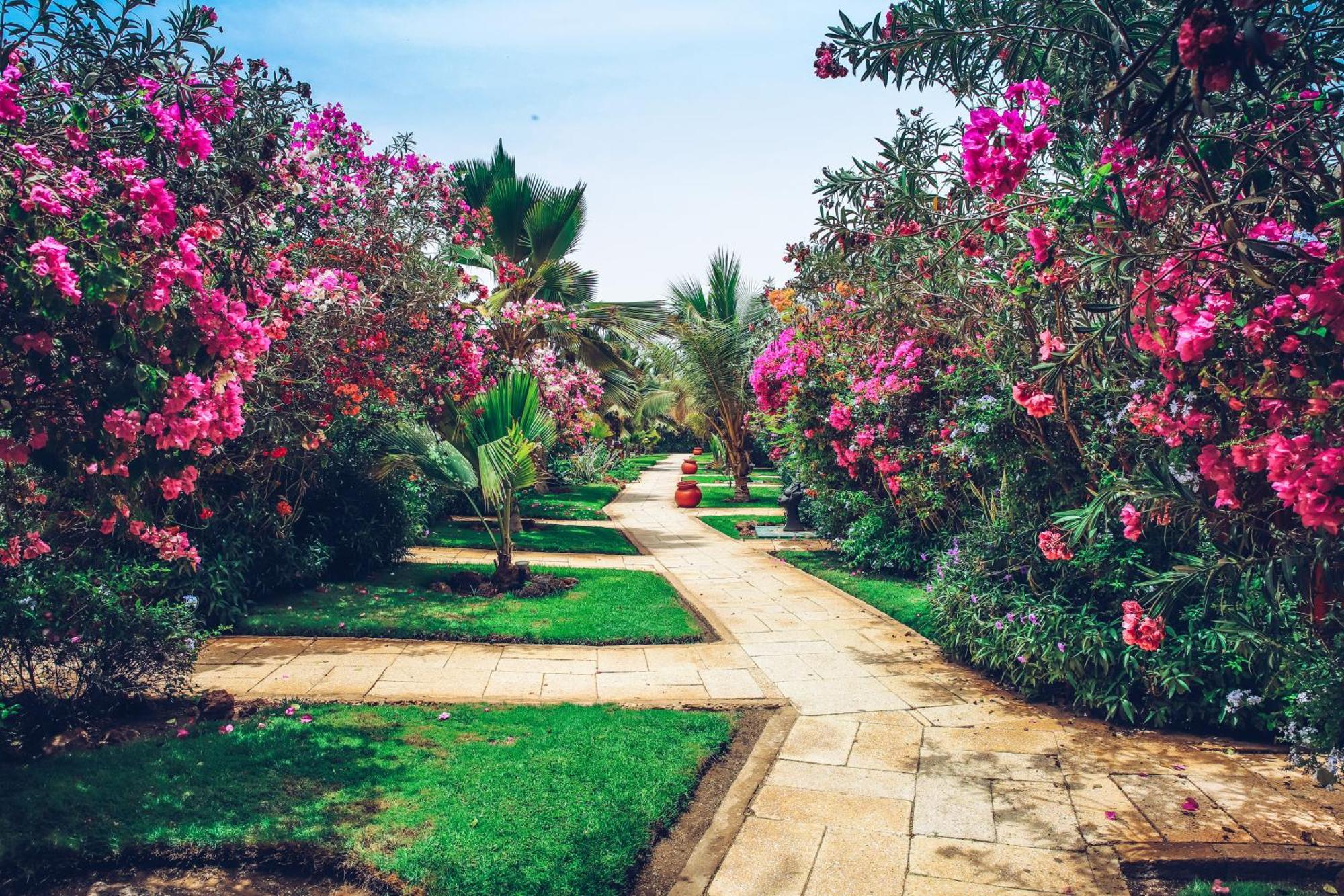 Royal Horizon Baobab Hotel Somone Bagian luar foto